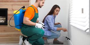 Best Residential Pest Control  in Rangely, CO